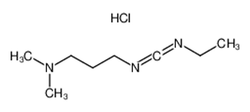3-(ethyliminomethylideneamino)-N,N-dimethylpropan-1-amine,hydrochloride | 25952-53-8