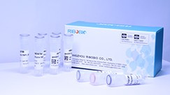Single-gene siRNA kit