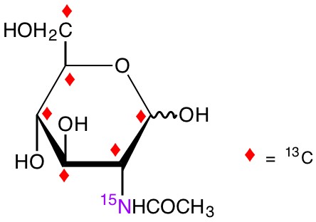 N-acetyl-D-[UL-13C6;15N]glucosamine