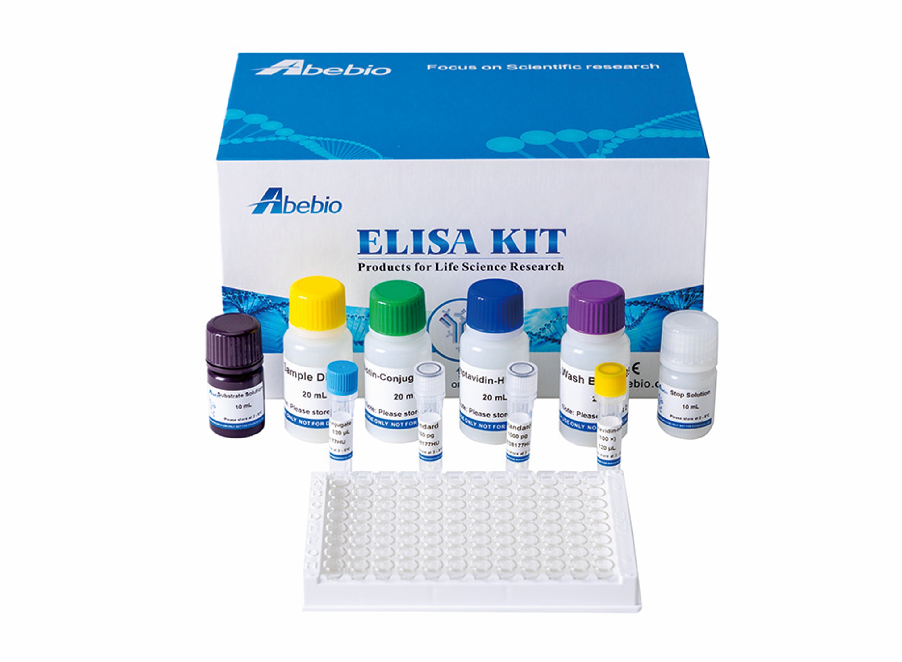 Human Measles virus IgG antibody (MV-Ab-IgG) ELISA Kit | AE62481HU