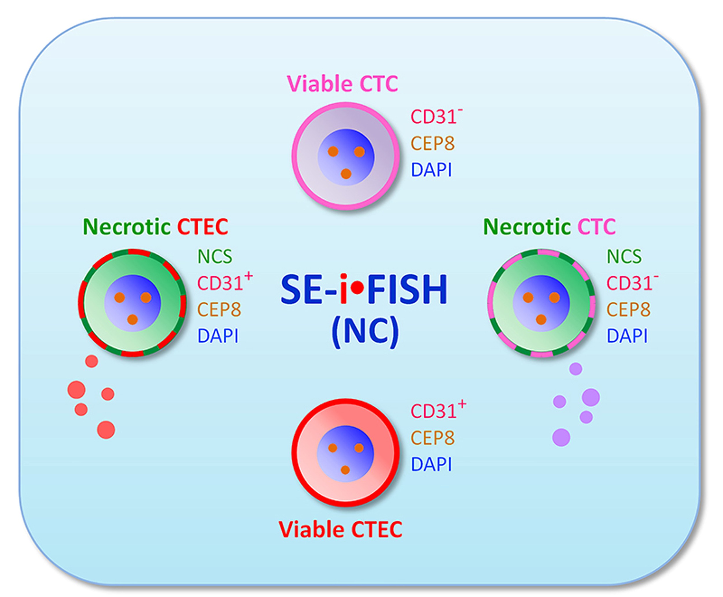Subtraction Enrichment (SE) Products for Human Samples