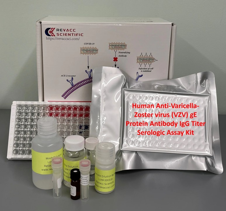Porcine Estradiol ,E2 ELISA KIT