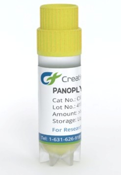 [Creative Biogene 한국공식대리점] Gene Knockdown Stable Cell Lines