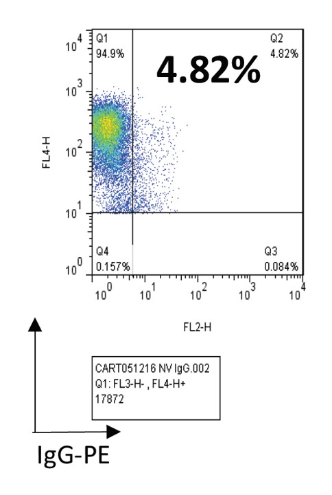 CAR T-Cell Medium (Fetal Bovine Serum)