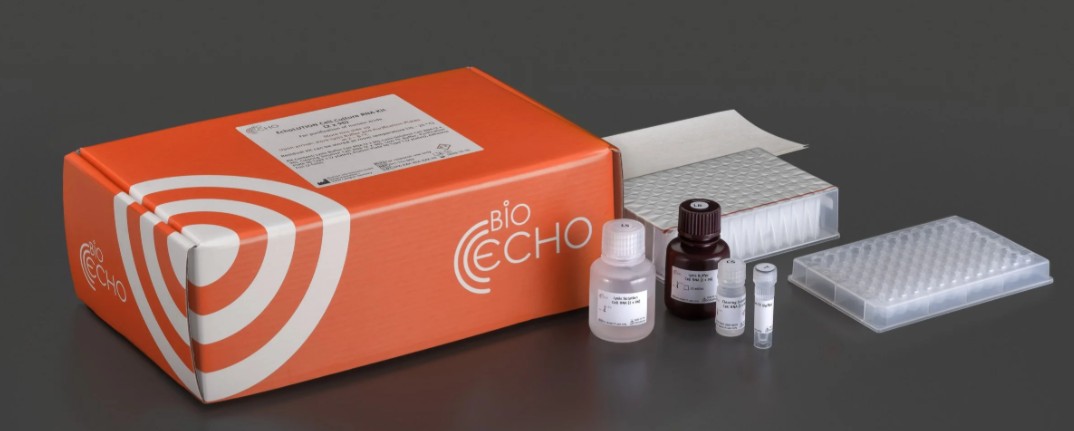 EchoLUTION Cell Culture RNA Kit
