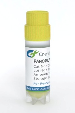 Panoply™ Human SEZ6 Over-expressing Stable Cell Line