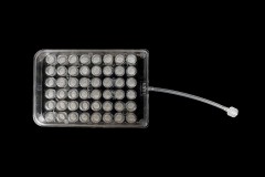48-well PerfusionPal Plate