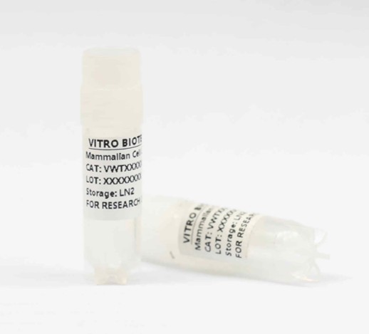 HCCC-9810 | VWT1B034