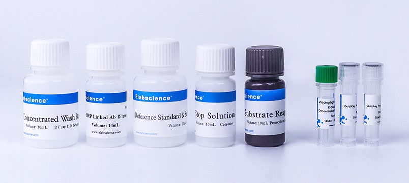 QuicKey Pro Mouse E2(Estradiol) ELISA Kit