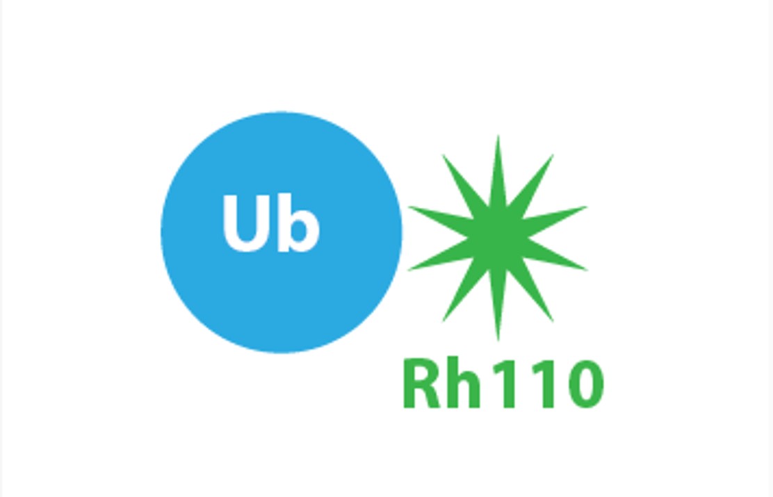 Ub-Rh110Gly