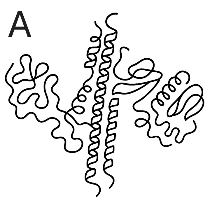 Toxin | Serotype A