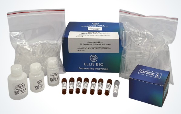SuperMethyl™ Fast Bisulfite Conversion Kit