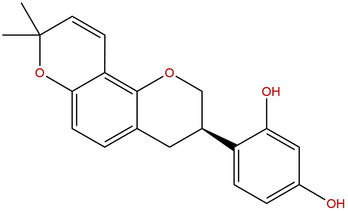 Biopurify 한국공식대리점