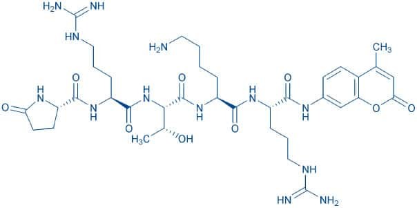[Bachem 한국공식대리점] Pyr-Arg-Thr-Lys-Arg-AMC