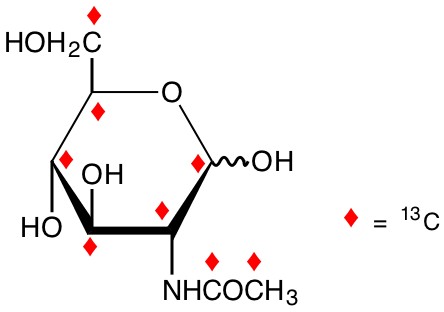 N-[1,2-13C2]acetyl-D-[UL-13C6]glucosamine