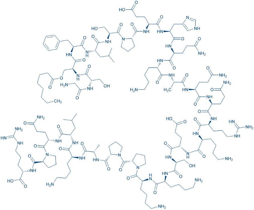 Bachem 한국공식대리점