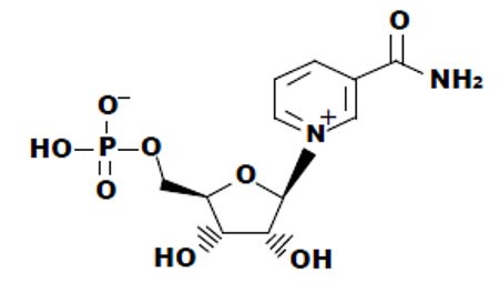 β−Nicotinamide mononucleotide ／ β-NMN