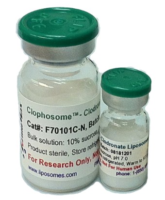 Clophosome®, Clodronate Liposomes (Neutral), Suitable for macrophage depletion | F70101C-N