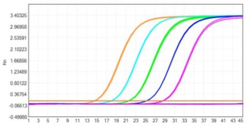 Creative Diagnostics 한국공식대리점
