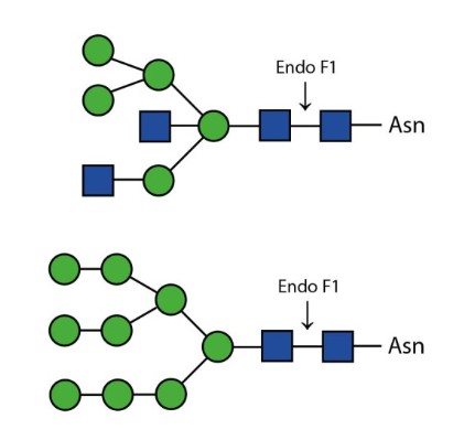 Ludger 한국공식대리점