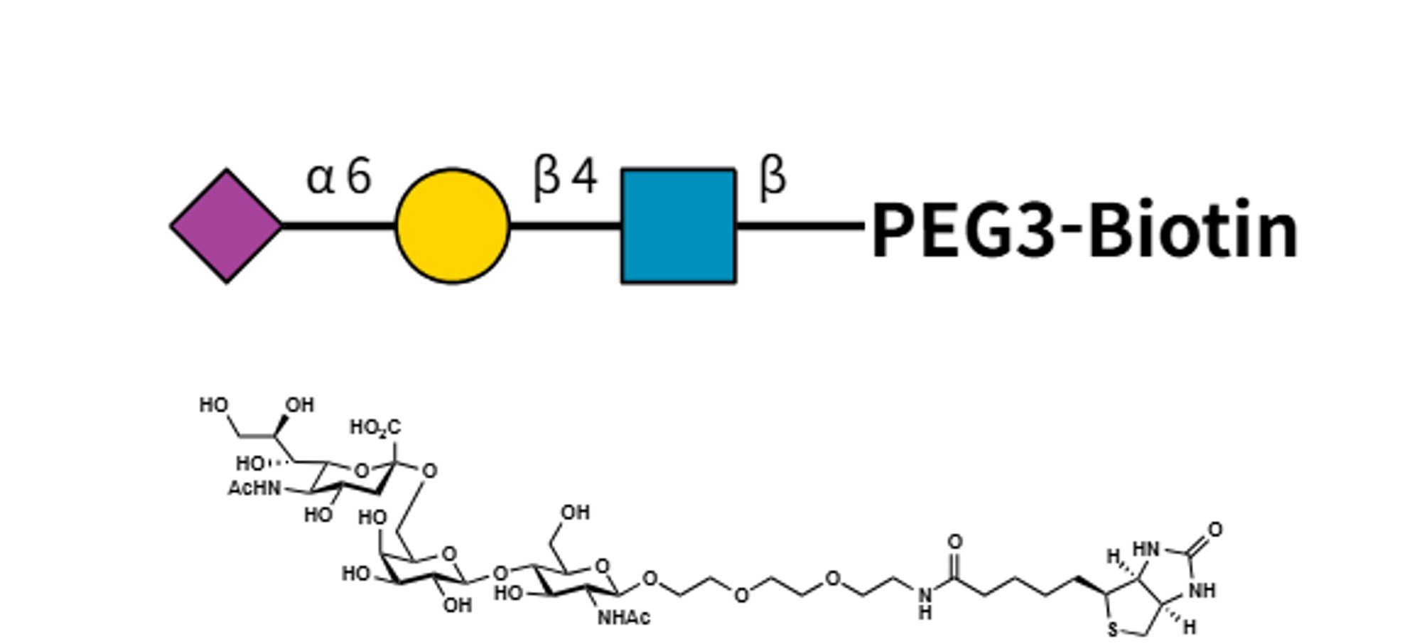 Neu5Acα(2-6)LacNAc-PEG3-Biotin