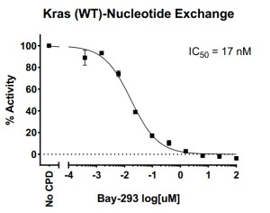 Kras WT Nucleotide Exchange Assay Kit