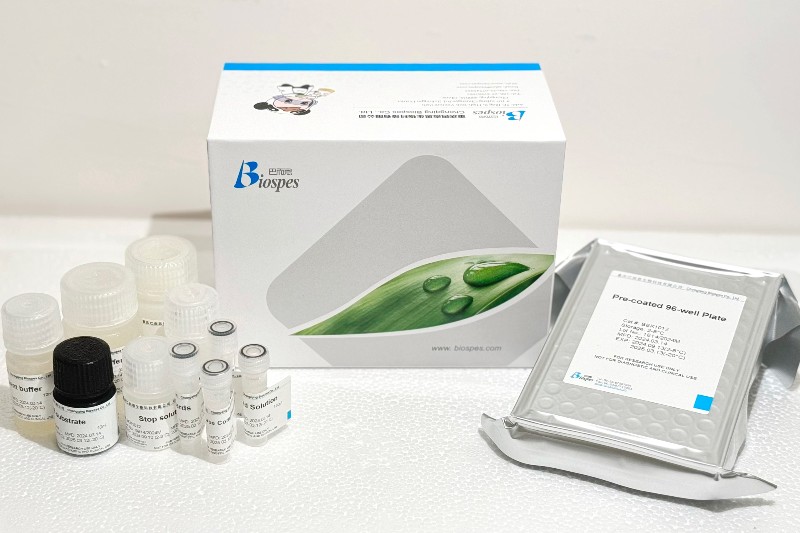 Chongqing Biospes 한국공식대리점