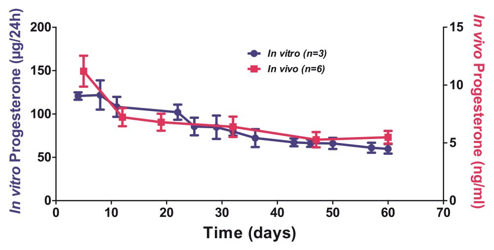 Belma Technologies 한국공식대리점- P4-R 제품소개