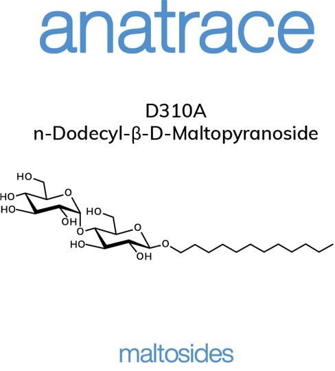D310A - n-Dodecyl-β-D-Maltopyranoside