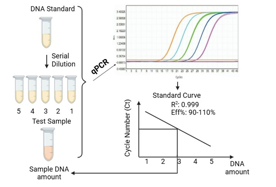[Creative Diagnostics 한국공식대리점] Nucleic Acid Residue Assay Kits (qPCR)