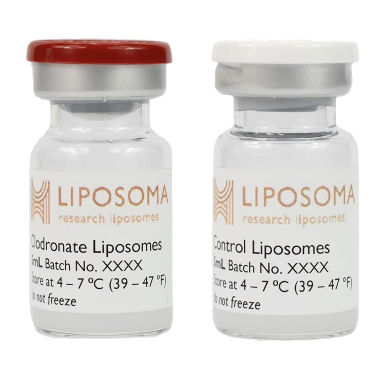Clodronate Liposomes & Control Liposomes (PBS)