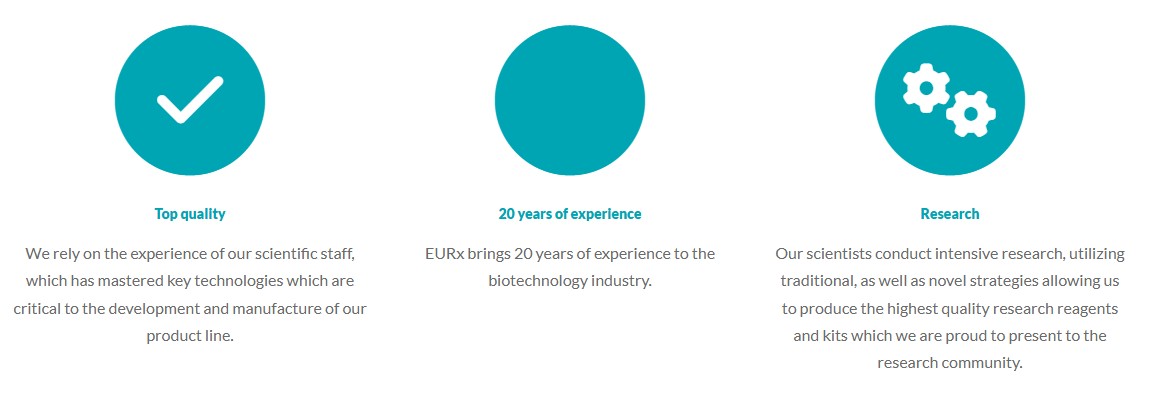 EURx를 대표하는 이미지