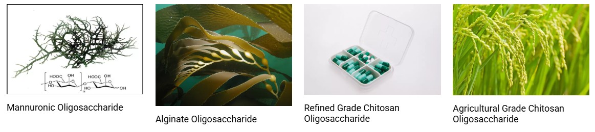 HEHAI Biotech(Marine Oligo)를 대표하는 이미지