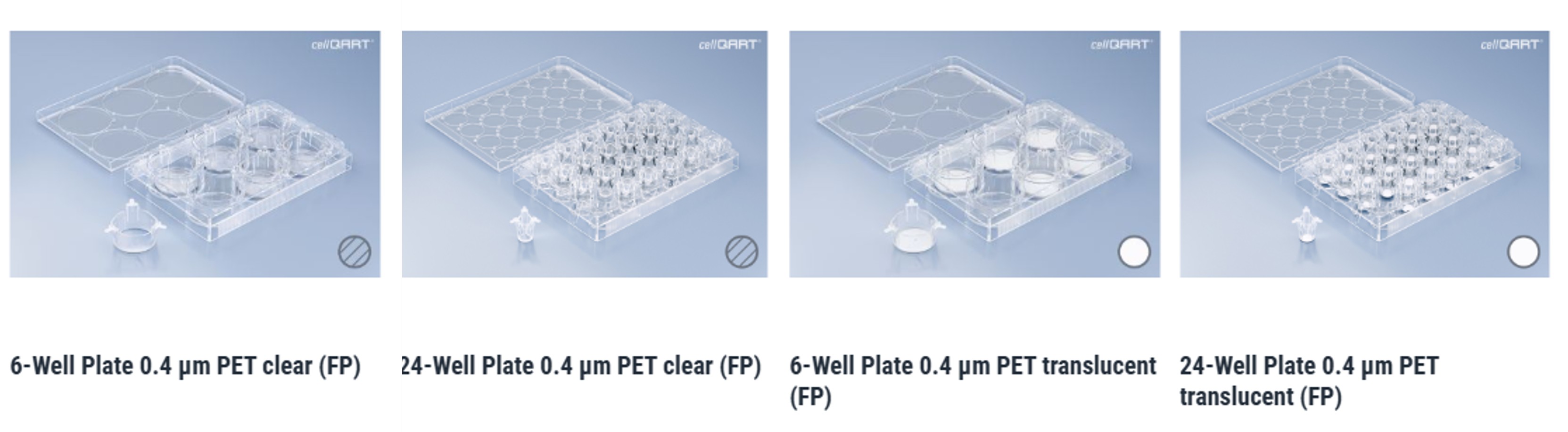 cellQART를 대표하는 이미지