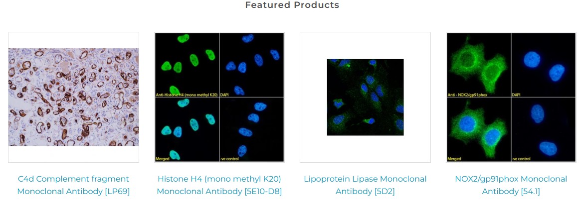 ImmuQuest를 대표하는 이미지