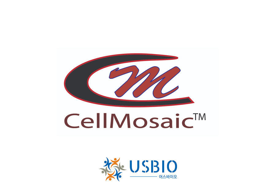 [CellMosaic] SEC (Gel Filtration) HPLC Protein Standard (7 components, Lyophilized)