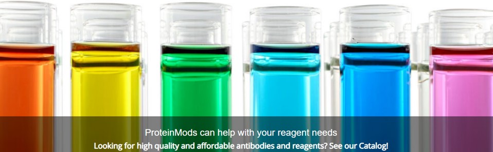 Protein Mods를 대표하는 이미지