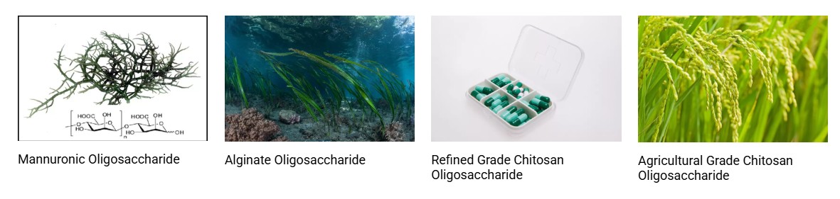HEHAI Biotech(Marine Oligo)를 대표하는 이미지