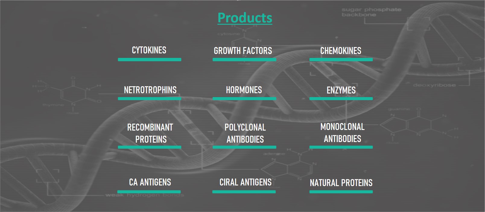 Prospec를 대표하는 이미지