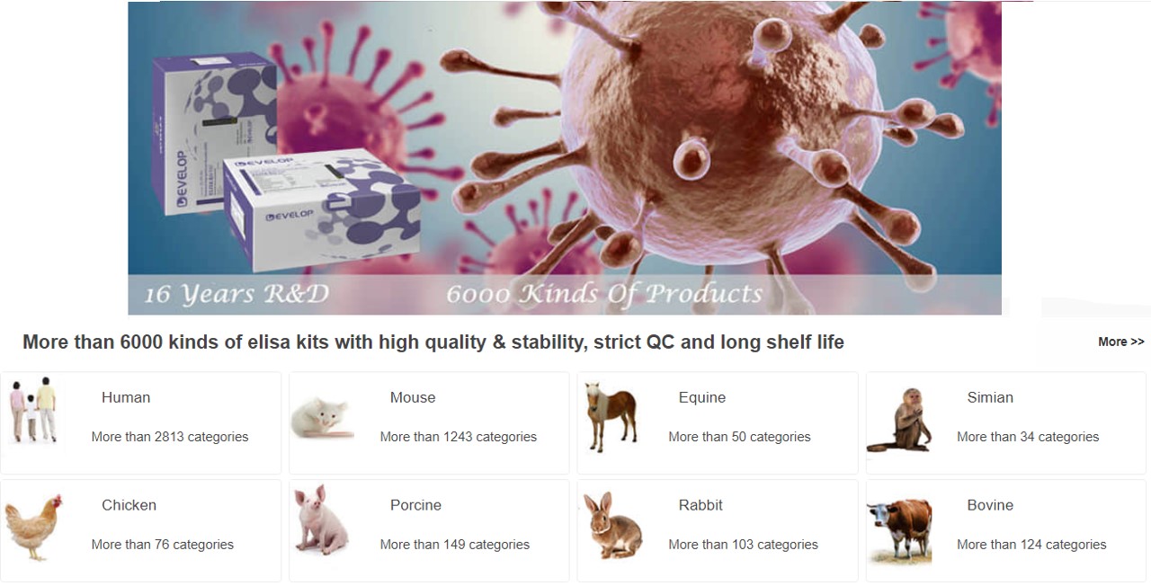 DLdevelop를 대표하는 이미지