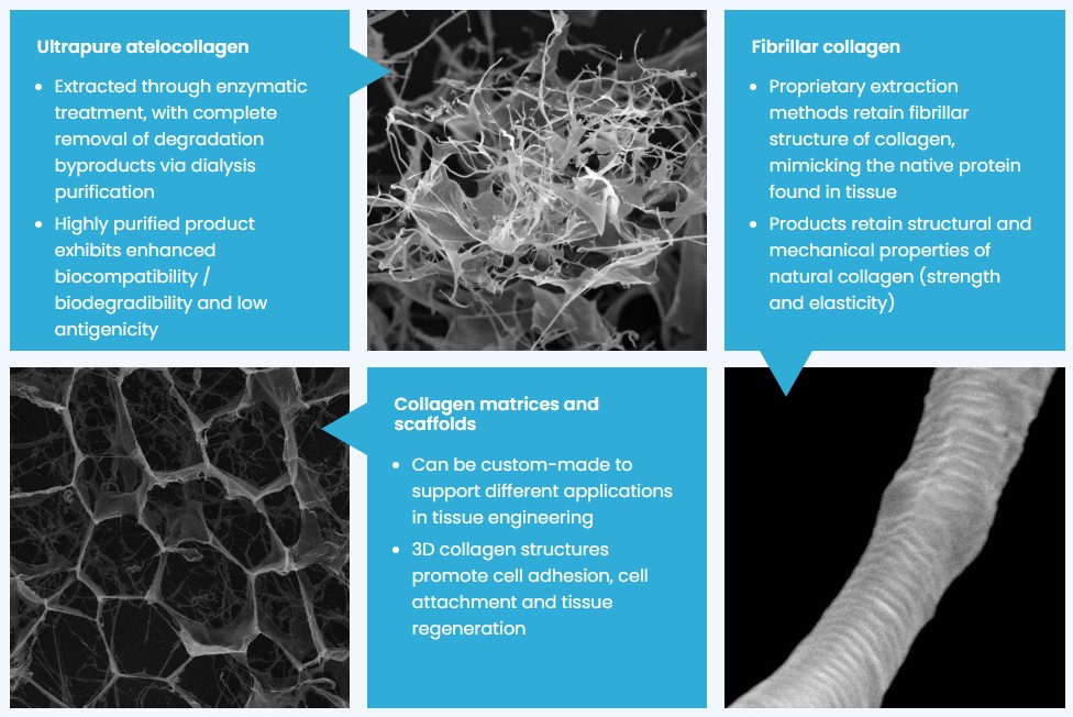 Promed Bioscience를 대표하는 이미지