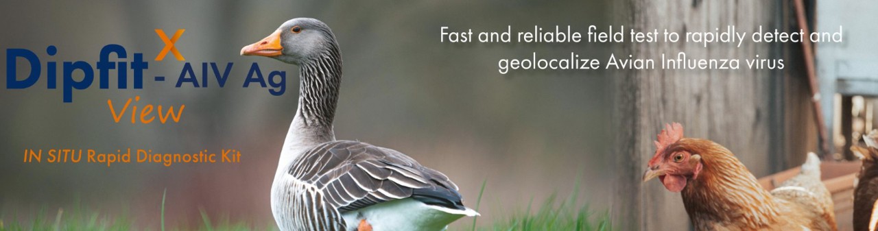 BioX Diagnostics를 대표하는 이미지