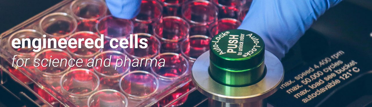 InSCREENeX를 대표하는 이미지