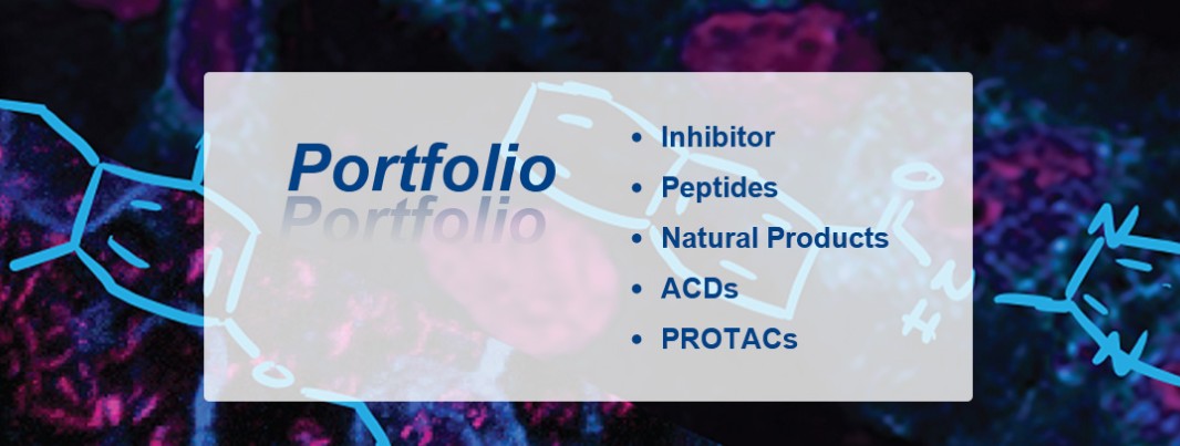 Molnova를 대표하는 이미지