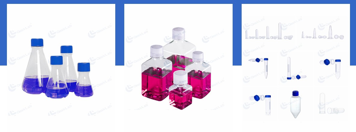 SHANGHAI HXRT MD를 대표하는 이미지