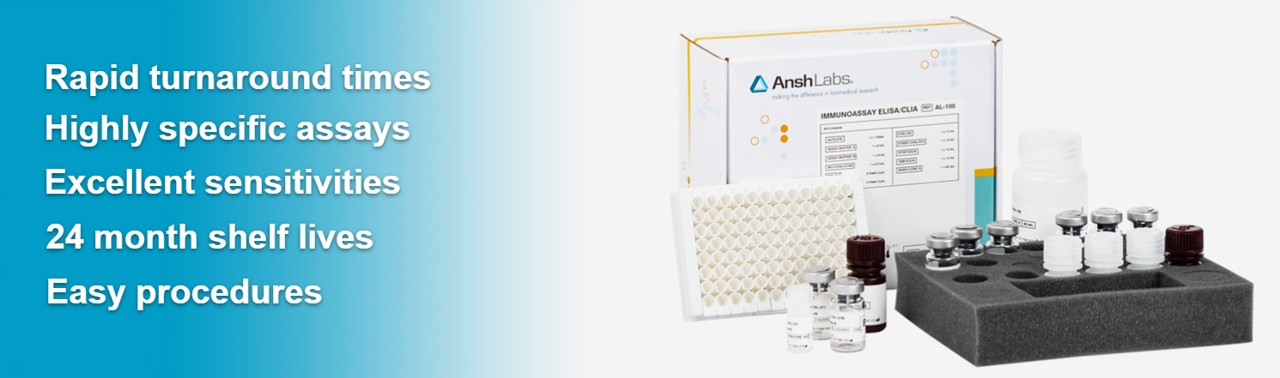 AnshLabs를 대표하는 이미지