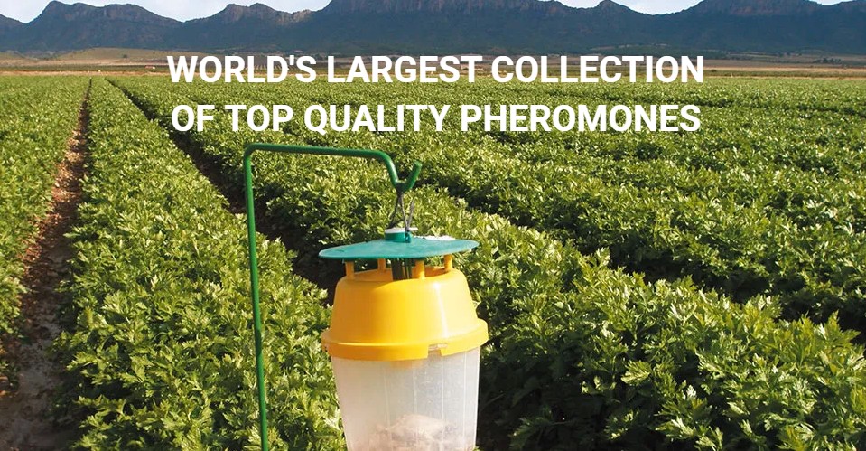 Pherobank를 대표하는 이미지