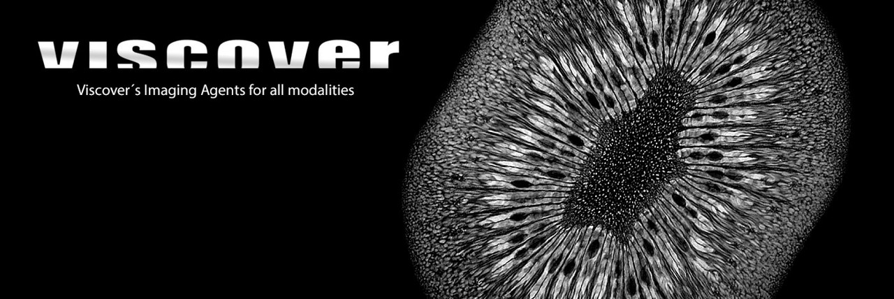 Viscover를 대표하는 이미지