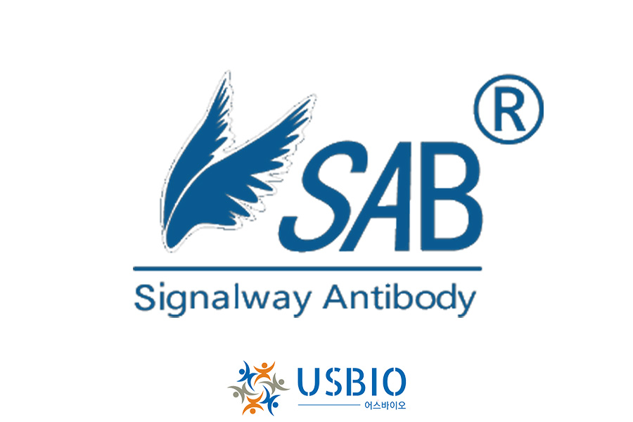 [Signalway Antibody] Human Mucin 5 Subtype AC (MUC5AC) ELISA Kit